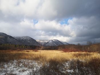 Autumn meadow against snow covered mountains and moody sky