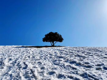 Scenic view of snow covered land against clear blue sky