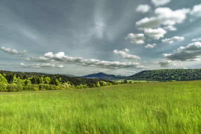 Scenic view of field against sky