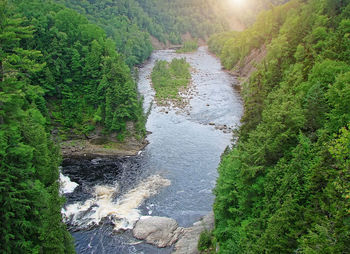 High angle view of river amidst trees in forest