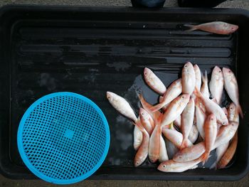 Close-up of seafood