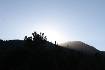 Silhouette trees on mountain against clear sky