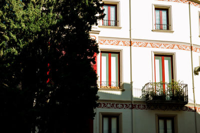 Low angle view of tree by building