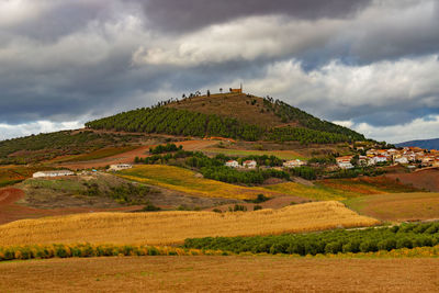 Scenic view of agricultural field against sky