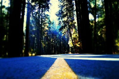 Close-up of trees in forest against sky