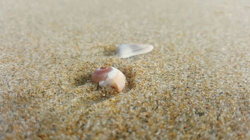 Close-up of sand on beach