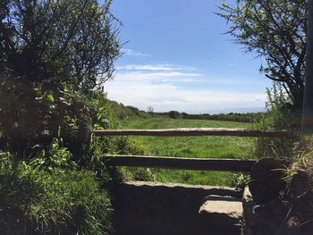 Scenic view of agricultural field against sky on sunny day