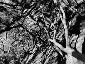 Low angle view of bare trees