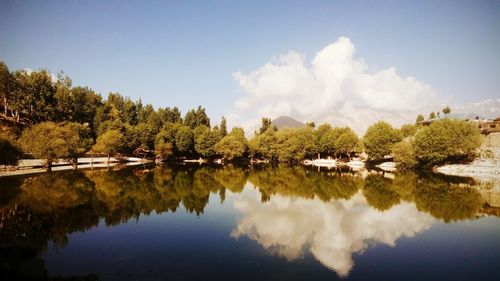 Reflection of trees and cloud in river on sunny day