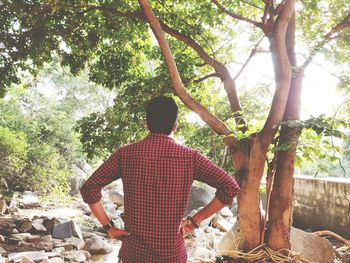 Rear view of man standing by tree in forest