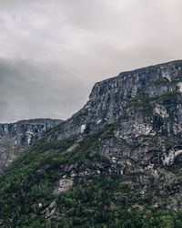 Rocky cliff and mountain range filled with trees