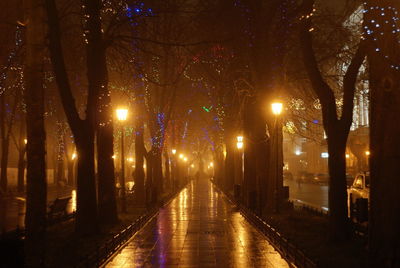 Illuminated street light at night