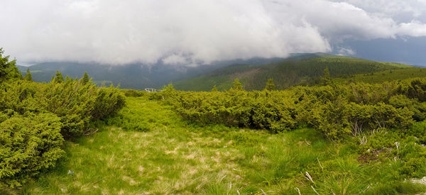 Scenic view of land against sky