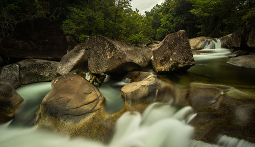 View of trees in water