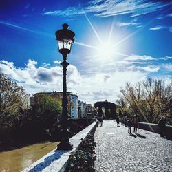 Sun shining through trees on sunny day