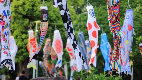 Colorful koinoboris hanging against trees