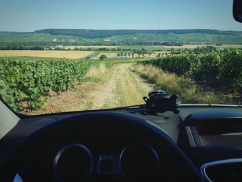 View of rural landscape with trees in background
