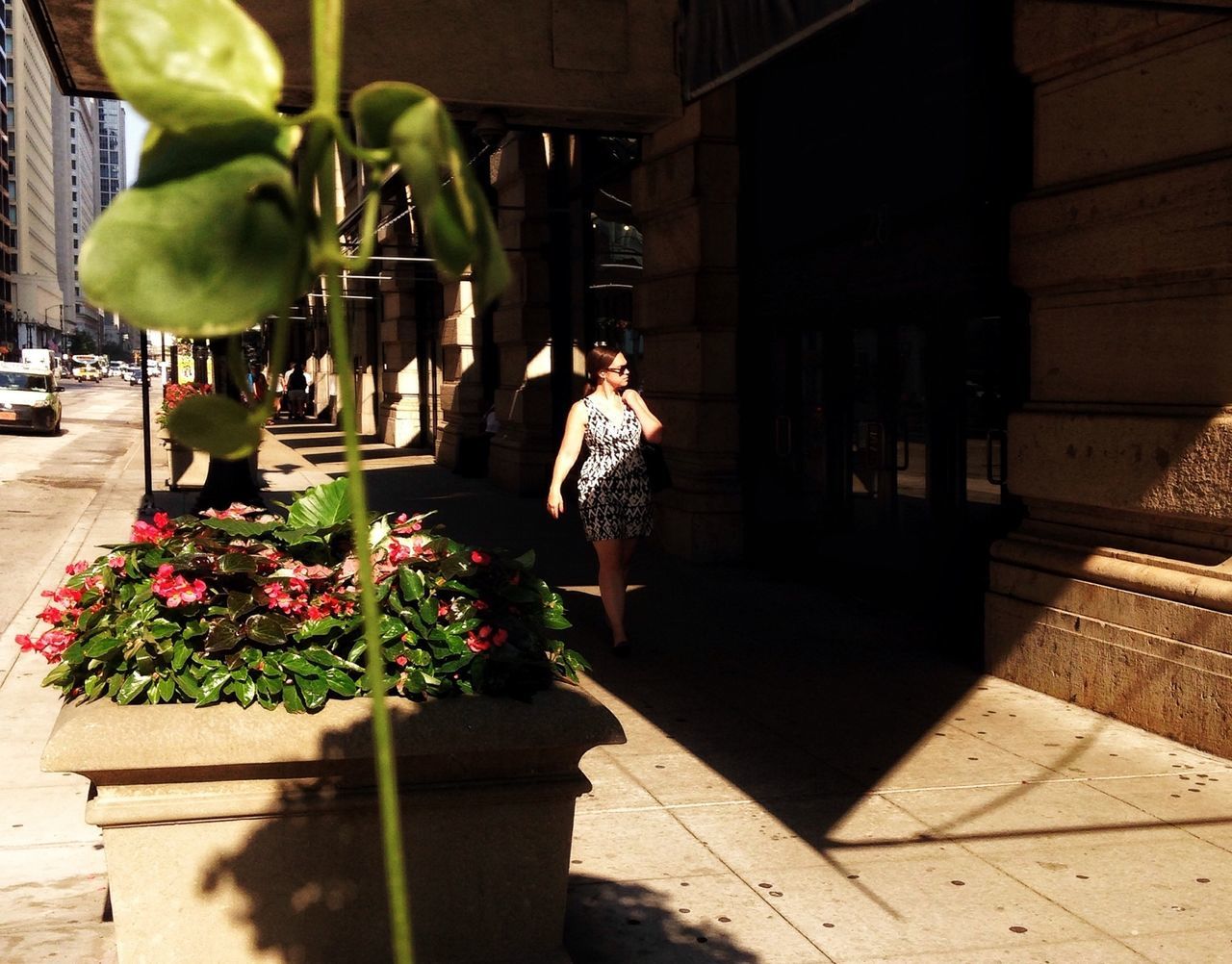 building exterior, architecture, potted plant, flower, built structure, plant, lifestyles, person, city, leisure activity, sunlight, growth, outdoors, full length, men, incidental people, sidewalk, day