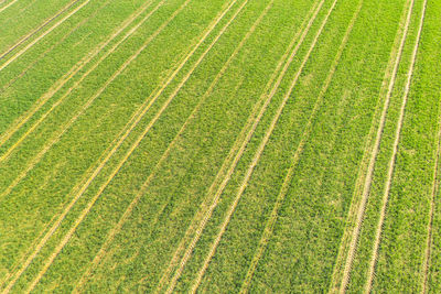 Full frame shot of green field