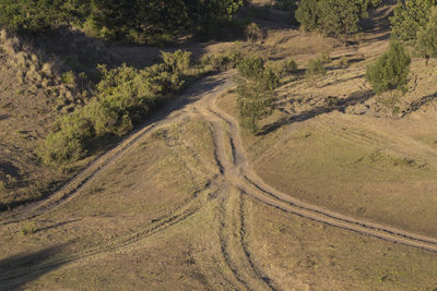 High angle view of road along trees