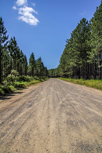 Road amidst trees against sky