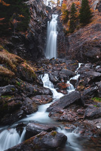 Scenic view of waterfall in forest