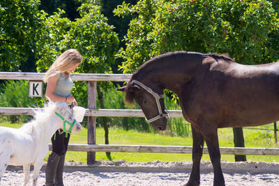 Woman standing with horse and fawn at ranch on sunny day