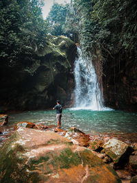 Rear view of man standing by waterfall in forest