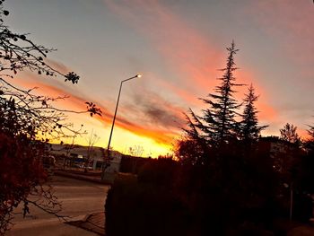 Silhouette trees by street against sky at sunset