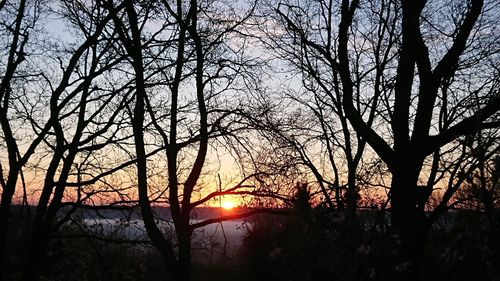 Silhouette bare trees against sky during sunset