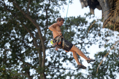 Low angle view of man jumping on tree