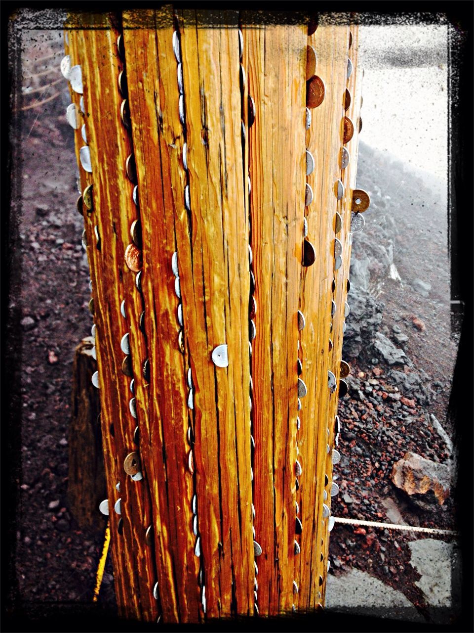 transfer print, auto post production filter, wood - material, wooden, protection, old, metal, safety, wood, security, door, weathered, close-up, rusty, day, closed, outdoors, fence, textured, sunlight