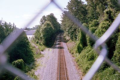 Railroad tracks amidst trees against sky