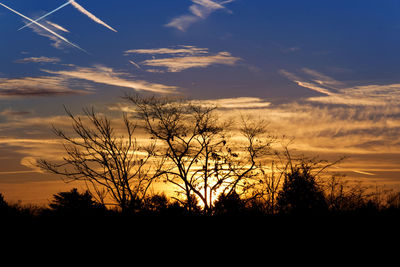 Silhouette bare trees on field against romantic sky at sunset