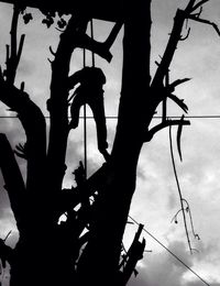 Low angle view of silhouette trees against sky