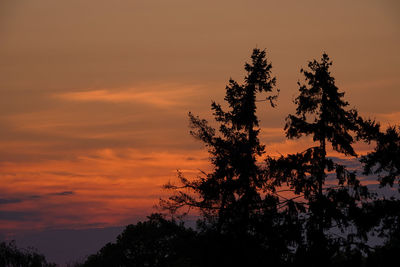 Low angle view of silhouette tree against orange sky