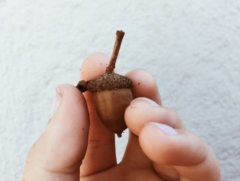 Close-up of hand holding small bread