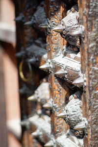 Close-up of door