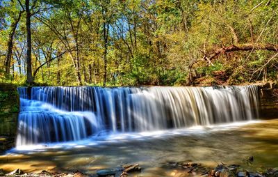 Scenic view of waterfall in forest