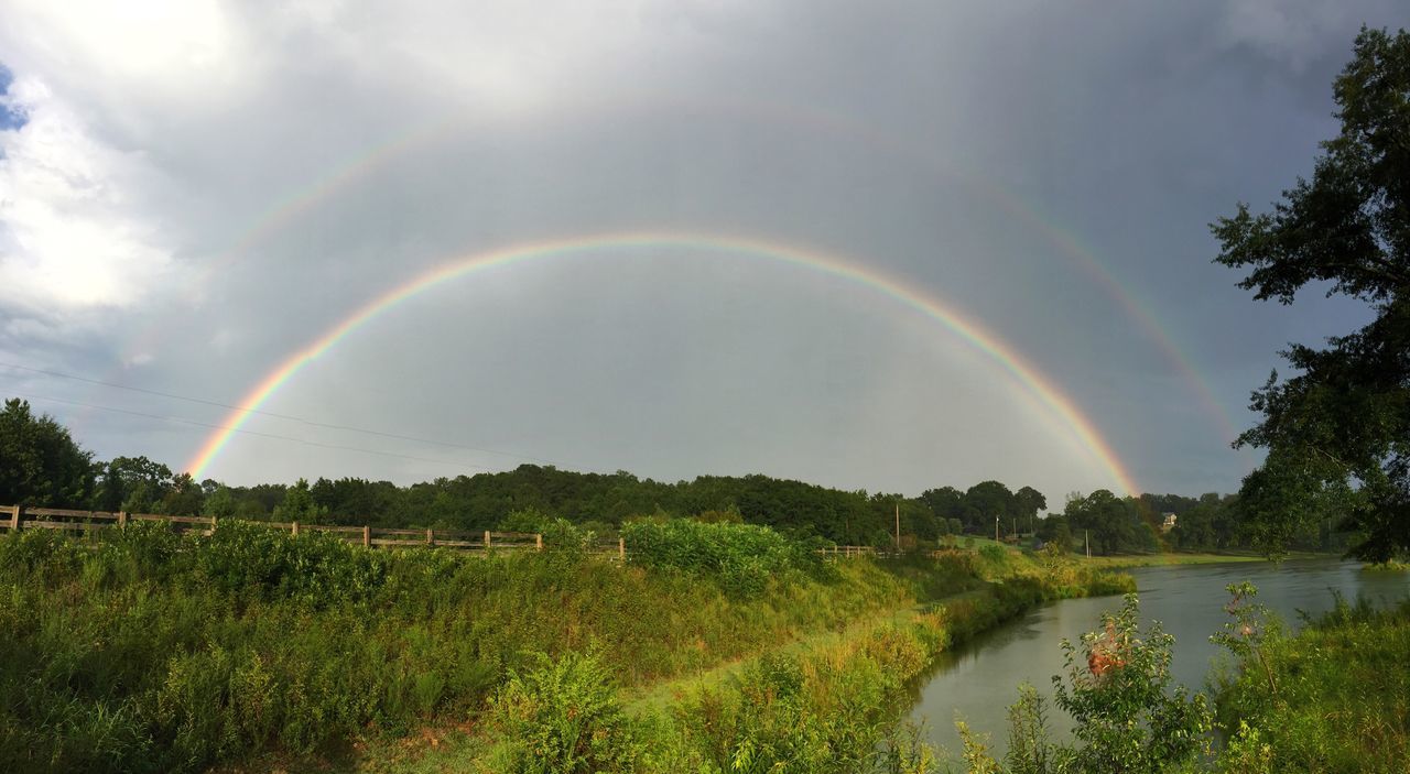 rainbow, scenics, multi colored, beauty in nature, tranquil scene, water, tranquility, nature, tree, grass, natural phenomenon, idyllic, arch, river, natural arch, majestic, canal, plant, day, colorful, countryside, growth, ethereal, flowing water, calm, the natural world, sky, remote, outdoors, non-urban scene, curve
