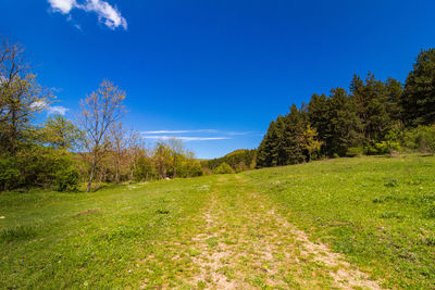 Scenic view of field against blue sky