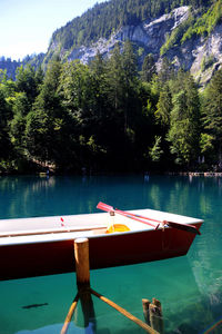 Boat moored by lake against trees