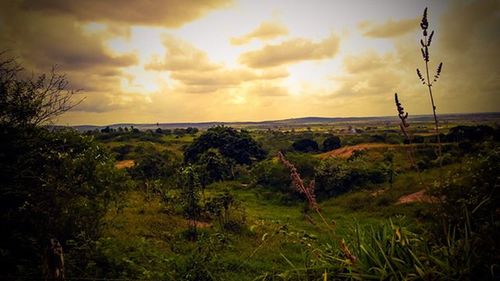 Scenic view of landscape against cloudy sky