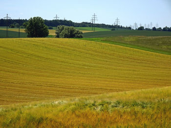 Fields and hilly landscape in early summer with power line on the horizon