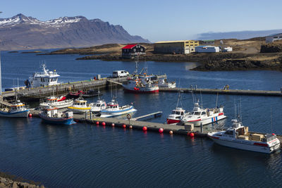 High angle view of th harbor of djupivogur