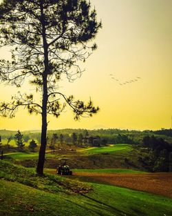 Scenic view of field against clear sky