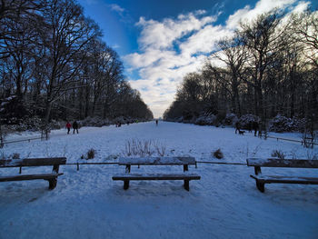 Trees on snow covered field against sky