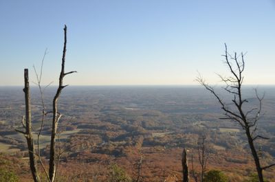 Scenic view of landscape against clear sky