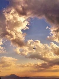 Low angle view of silhouette birds flying against sky during sunset