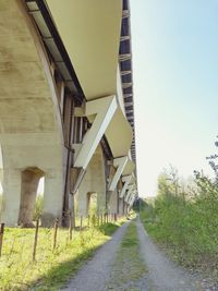 Road amidst plants against sky